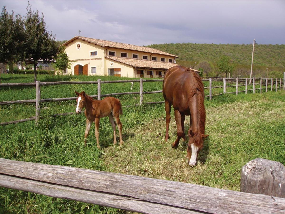 Agriturismo Potrero Grande Sul Lago Di Martignano Con Spiaggia Campagnano Di Roma Zewnętrze zdjęcie