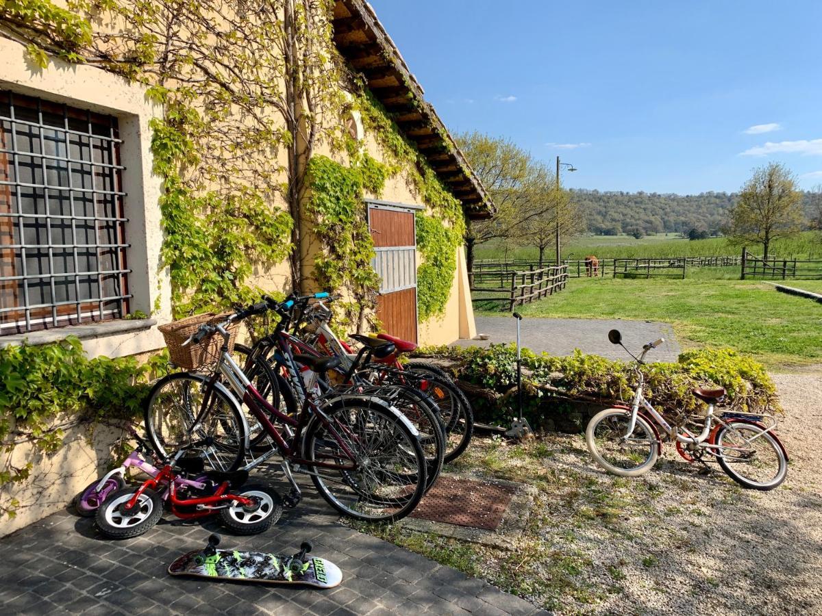 Agriturismo Potrero Grande Sul Lago Di Martignano Con Spiaggia Campagnano Di Roma Zewnętrze zdjęcie