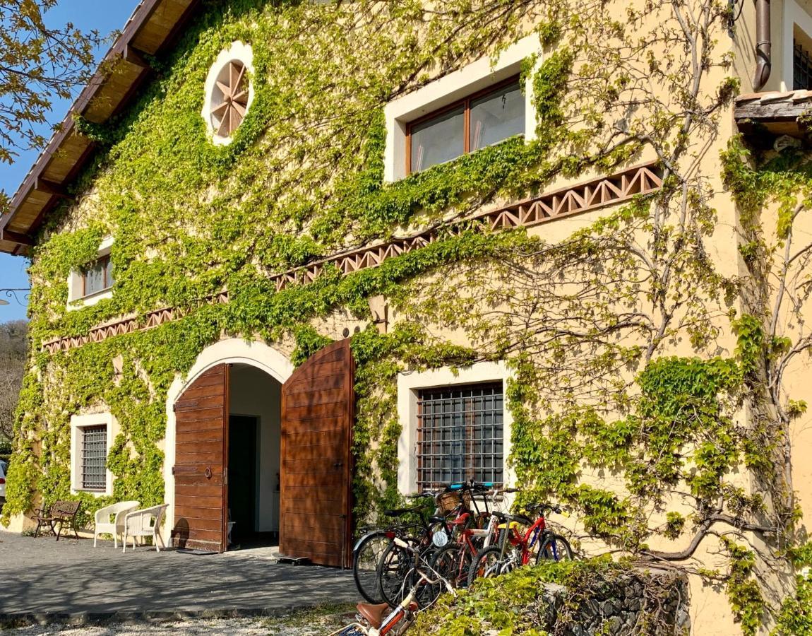 Agriturismo Potrero Grande Sul Lago Di Martignano Con Spiaggia Campagnano Di Roma Zewnętrze zdjęcie