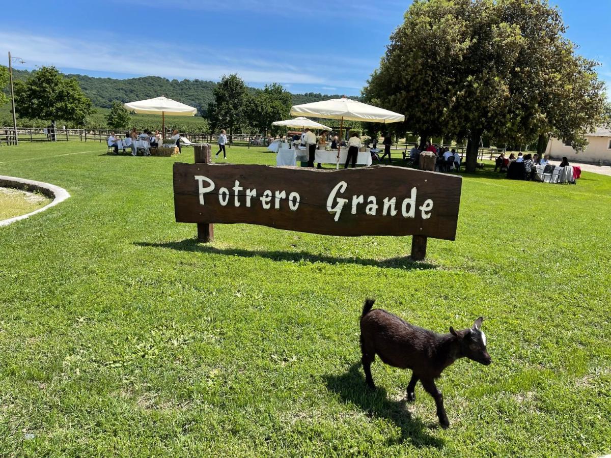 Agriturismo Potrero Grande Sul Lago Di Martignano Con Spiaggia Campagnano Di Roma Zewnętrze zdjęcie