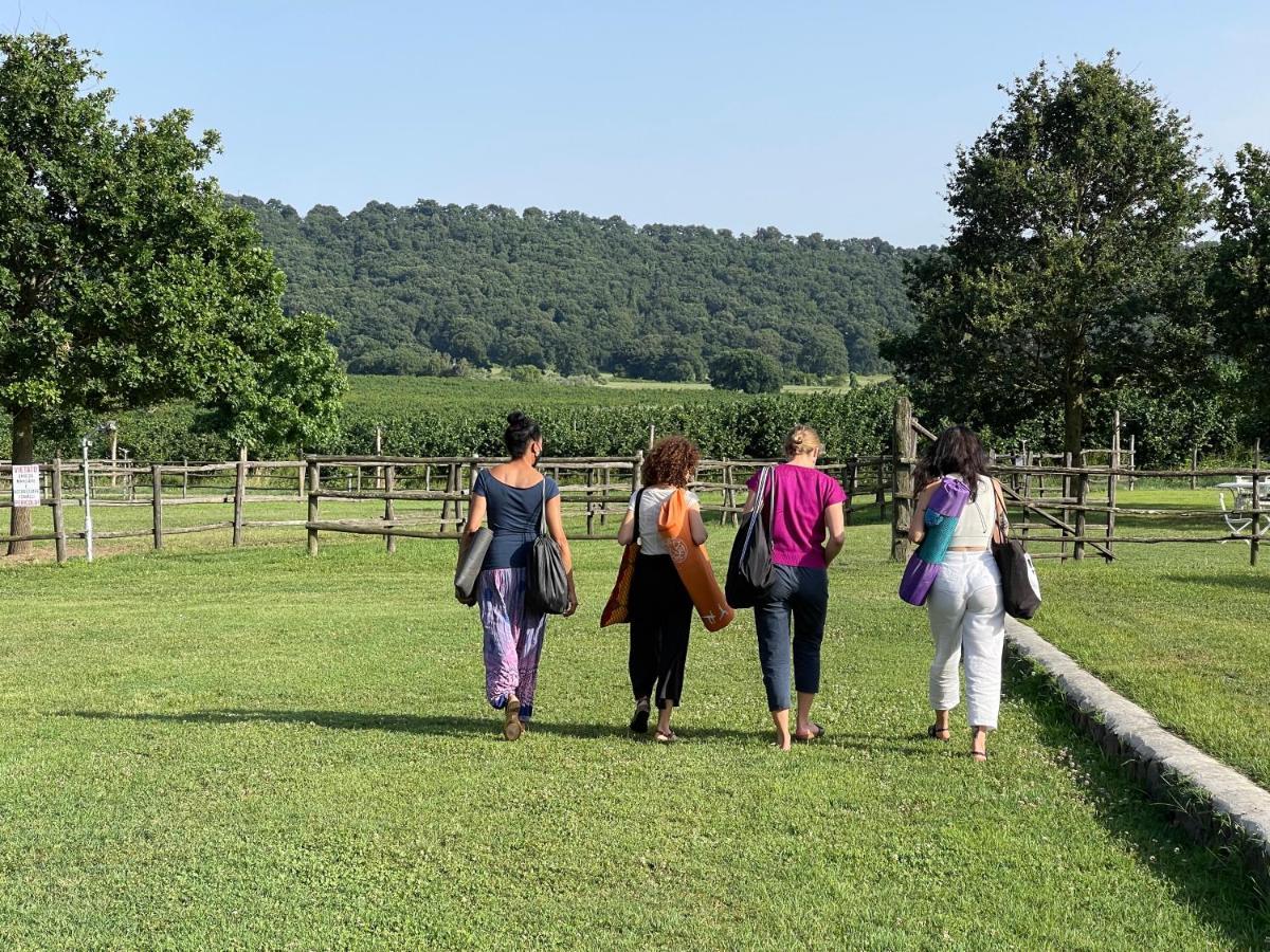 Agriturismo Potrero Grande Sul Lago Di Martignano Con Spiaggia Campagnano Di Roma Zewnętrze zdjęcie