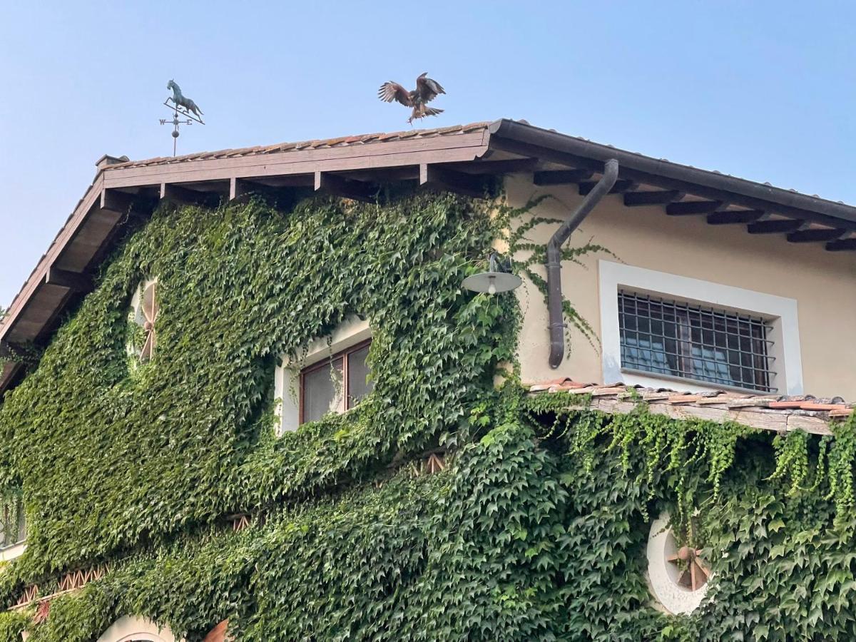 Agriturismo Potrero Grande Sul Lago Di Martignano Con Spiaggia Campagnano Di Roma Zewnętrze zdjęcie