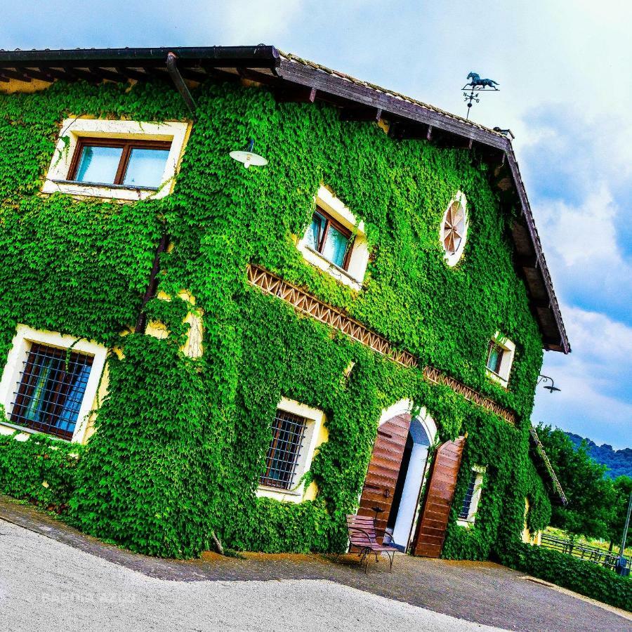 Agriturismo Potrero Grande Sul Lago Di Martignano Con Spiaggia Campagnano Di Roma Zewnętrze zdjęcie